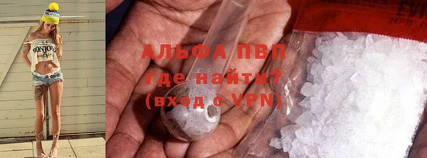 спайс Вяземский