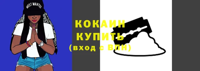 спайс Вяземский