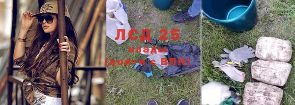 спайс Вяземский