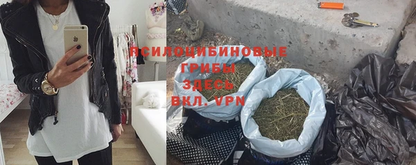 спайс Вяземский