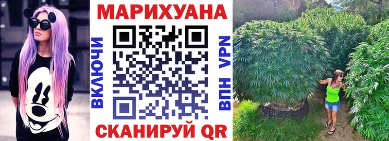 Купить закладки  Чегем  Бошки марихуана OG Kush 